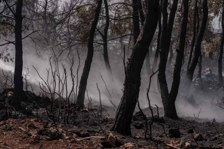 Jasper County Slaps 7-Day Burn Ban on Residents as Drought Fatigues Fire Crews