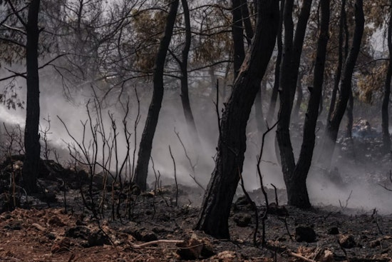 Jasper County Slaps 7-Day Burn Ban on Residents as Drought Fatigues Fire Crews