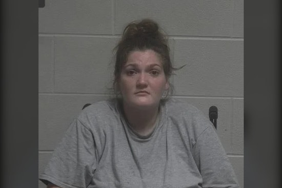 Jeffersonville Driver Accused of Doing 60 in 35 Pleads Not Guilty in Trimble County Crash That Killed Trucker, Hurt 3 K﻿