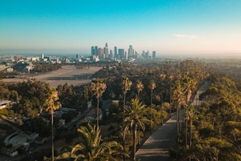 John Lee Moves To Axe L.A.’s Strict Street-Tree Rules, Cool Hotter Neighborhoods
