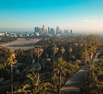 John Lee Moves To Axe L.A.’s Strict Street-Tree Rules, Cool Hotter Neighborhoods