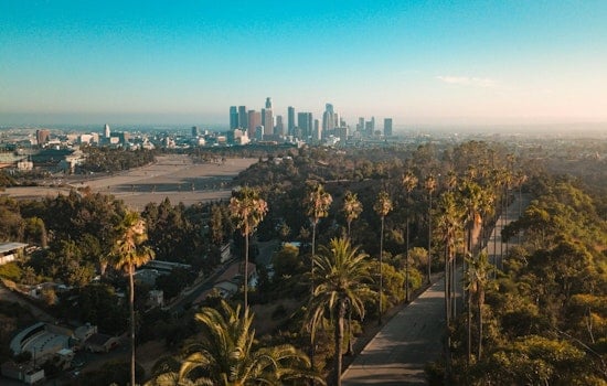John Lee Moves To Axe L.A.’s Strict Street-Tree Rules, Cool Hotter Neighborhoods