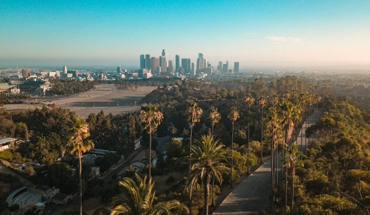 John Lee Moves To Axe L.A.’s Strict Street-Tree Rules, Cool Hotter Neighborhoods