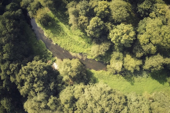 Johnston County Locks Up 602 Acres Of Neuse River Wilds In New Conservation Win