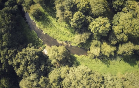 Johnston County Locks Up 602 Acres Of Neuse River Wilds In New Conservation Win