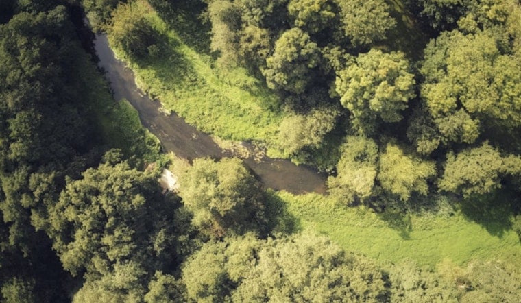 Johnston County Locks Up 602 Acres Of Neuse River Wilds In New Conservation Win