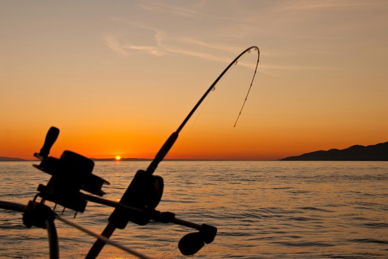 Judge Rules North Carolina Failed Its Duty to Protect Collapsing Fish Stocks