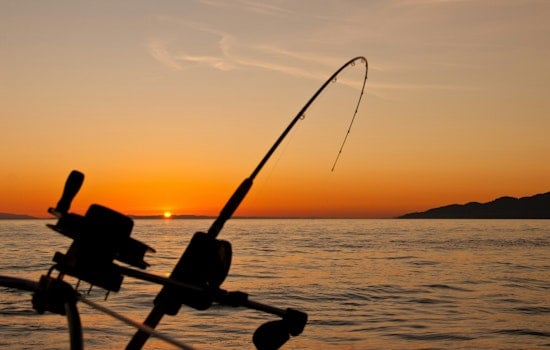 Judge Rules North Carolina Failed Its Duty to Protect Collapsing Fish Stocks