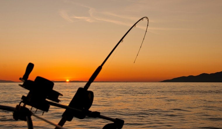 Judge Rules North Carolina Failed Its Duty to Protect Collapsing Fish Stocks