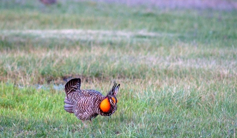 Kansas Brings Back Fall Turkey Season, Raises State Park Fees Starting November