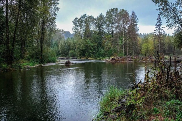 King County Buys Cedar River Site, Ending Decade-Long Asphalt Plant Fight