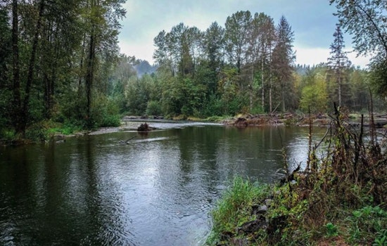 King County Buys Cedar River Site, Ending Decade-Long Asphalt Plant Fight