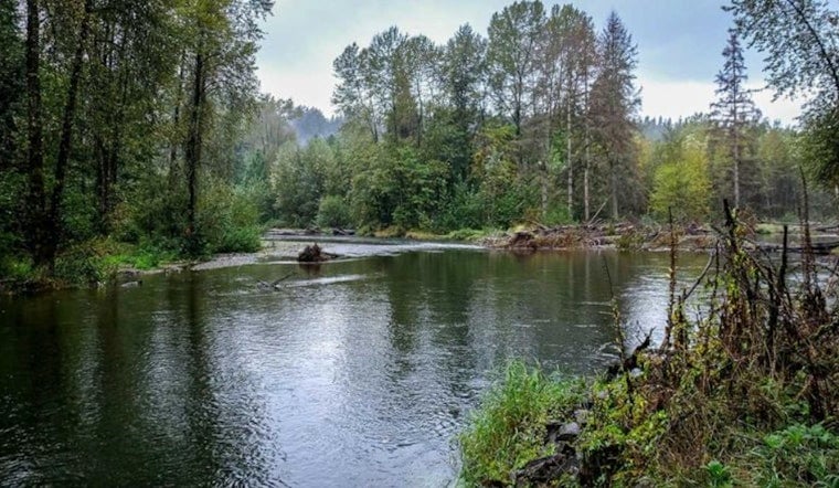 King County Buys Cedar River Site, Ending Decade-Long Asphalt Plant Fight