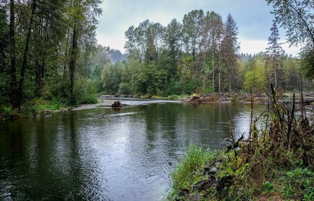 King County Buys Cedar River Site, Ending Decade-Long Asphalt Plant Fight