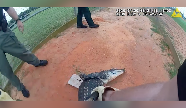 Kissimmee High School Gator Crashes Practice Before Quick Deputy Rescue
