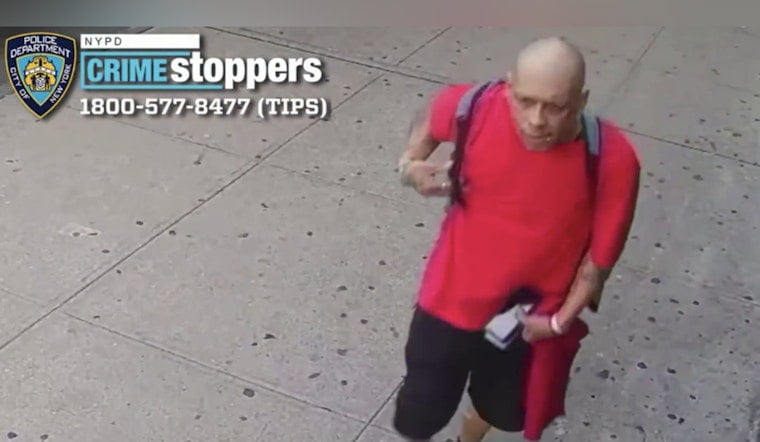 Knife-Wielding Robber Swipes Phone From Rider on Bronx 4 Train at 176th Street