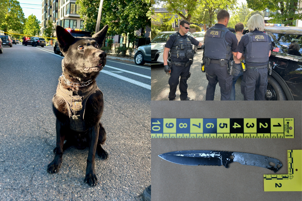Knife-Wielding Suspect Sends Northwest Portland Into Lockdown, K-9s and Drones Join Hunt