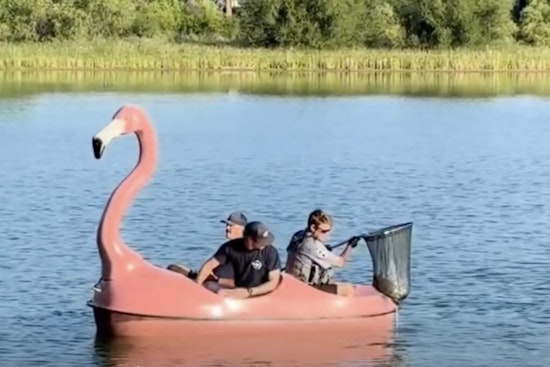 Lafayette Rescuers Grab Flamingo Pedal Boat to Save Tangled Waneka Lake Turtle