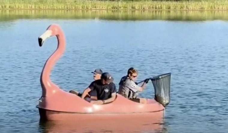 Lafayette Rescuers Grab Flamingo Pedal Boat to Save Tangled Waneka Lake Turtle