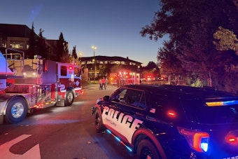 Lake Drive Horror: Issaquah Crash Probed as Homicide, Suspect Cuffed