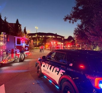 Lake Drive Horror: Issaquah Crash Probed as Homicide, Suspect Cuffed