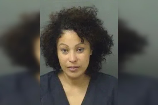 Lake Worth Beach Woman Kicks Deputy in Groin, Faces Two Felony Counts