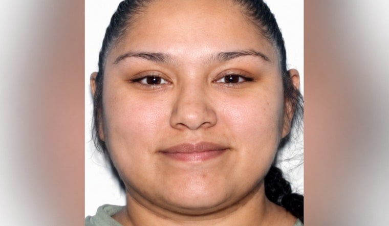 Lakewood Woman, 27, Vanishes on Way to Denver, State Alert Issued