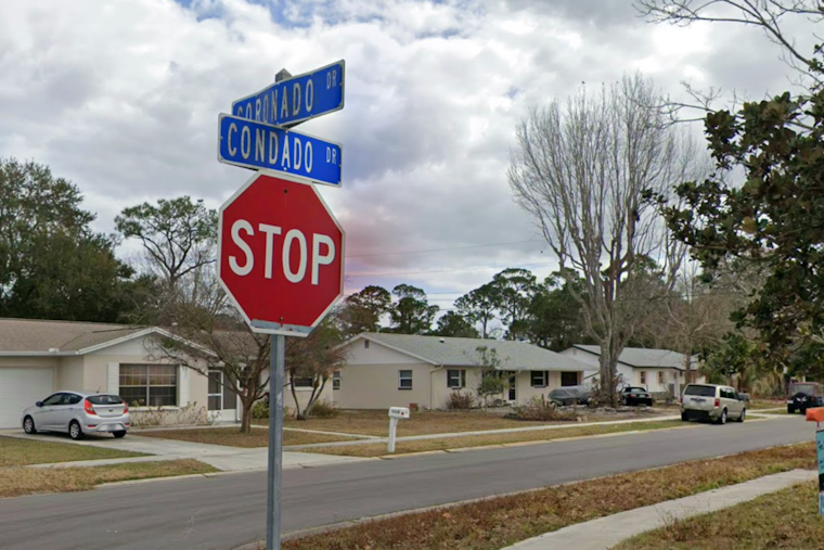 Lightning Blasts 70-Foot Pine Through Rockledge Home, Man Says He's Lucky to Be Alive