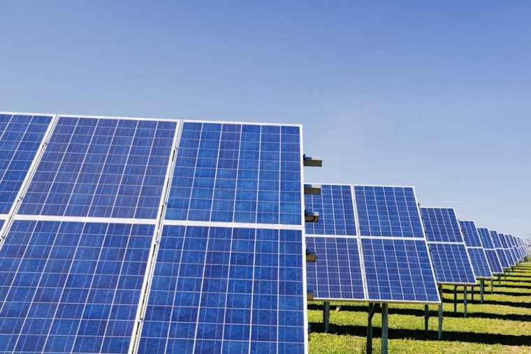 Littleton Solar Farm Grows Sunflowers and Tomatoes to Feed Denver's Hungry