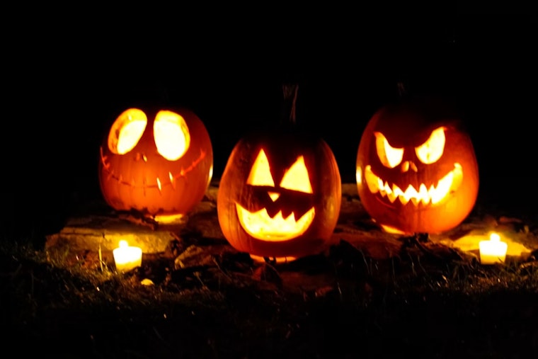 Littleton's Jack O'Lanterns Festival Returns With 7,000 Pumpkins and a New Trail