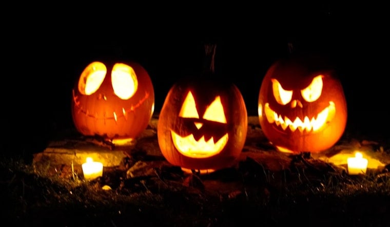 Littleton's Jack O'Lanterns Festival Returns With 7,000 Pumpkins and a New Trail
