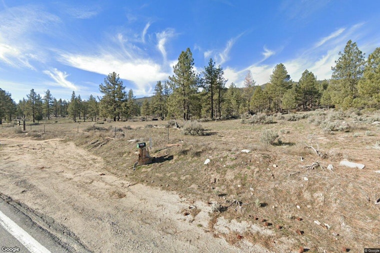 Logan Paul Lists Timothy Leary's Old LSD Ranch for Nearly $3 Million