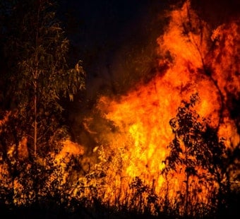 Lome Fire Erupts Near Mountain Ranch, Evacuation Order Hits Zone CCU-043