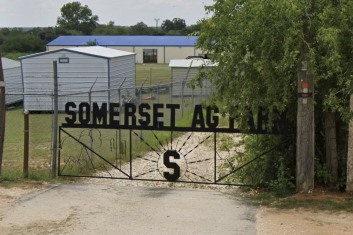 Loose Dogs Kill 20 Show Animals at Somerset ISD Ag Barn, FFA Families Scramble