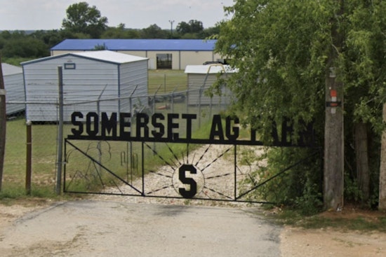 Loose Dogs Kill 20 Show Animals at Somerset ISD Ag Barn, FFA Families Scramble