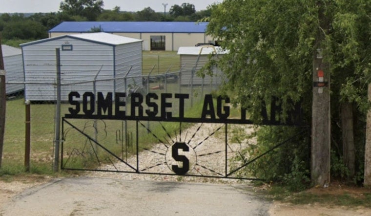 Loose Dogs Kill 20 Show Animals at Somerset ISD Ag Barn, FFA Families Scramble