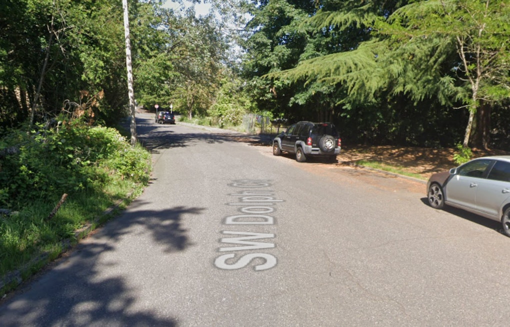 Loose Husky Mix Turns on Family, Bites 3 in Southwest Portland Rampage