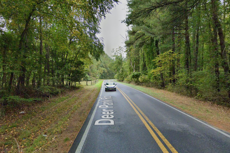 Loose Mustang Terrorizes Deer Park Road Drivers Near Liberty Reservoir For Two Months