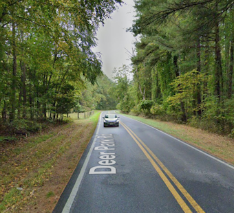 Loose Mustang Terrorizes Deer Park Road Drivers Near Liberty Reservoir For Two Months