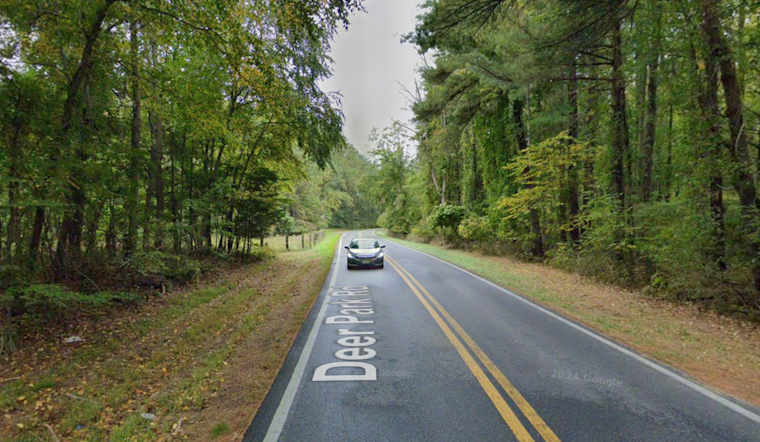 Loose Mustang Terrorizes Deer Park Road Drivers Near Liberty Reservoir For Two Months