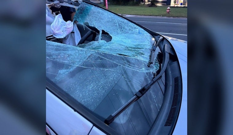 Loose Tire Clears Route 1 Median, Slams Teaneck Woman's Car in South Brunswick