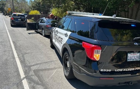 Los Altos Police Nab Repeat Suspect in Gardener Robbery, Jackhammer Theft