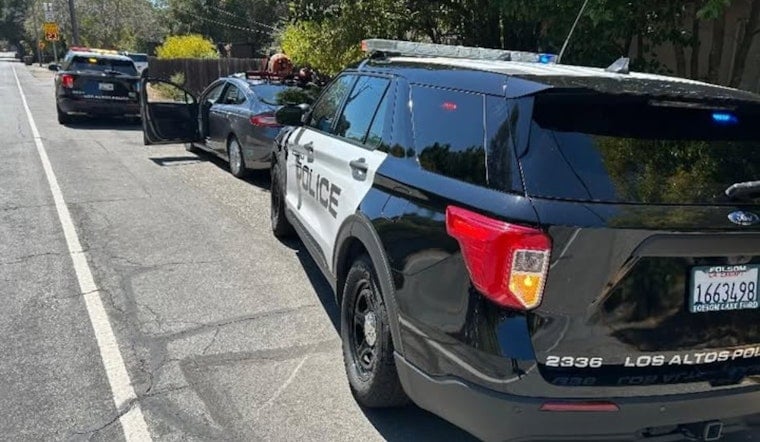 Los Altos Police Nab Repeat Suspect in Gardener Robbery, Jackhammer Theft