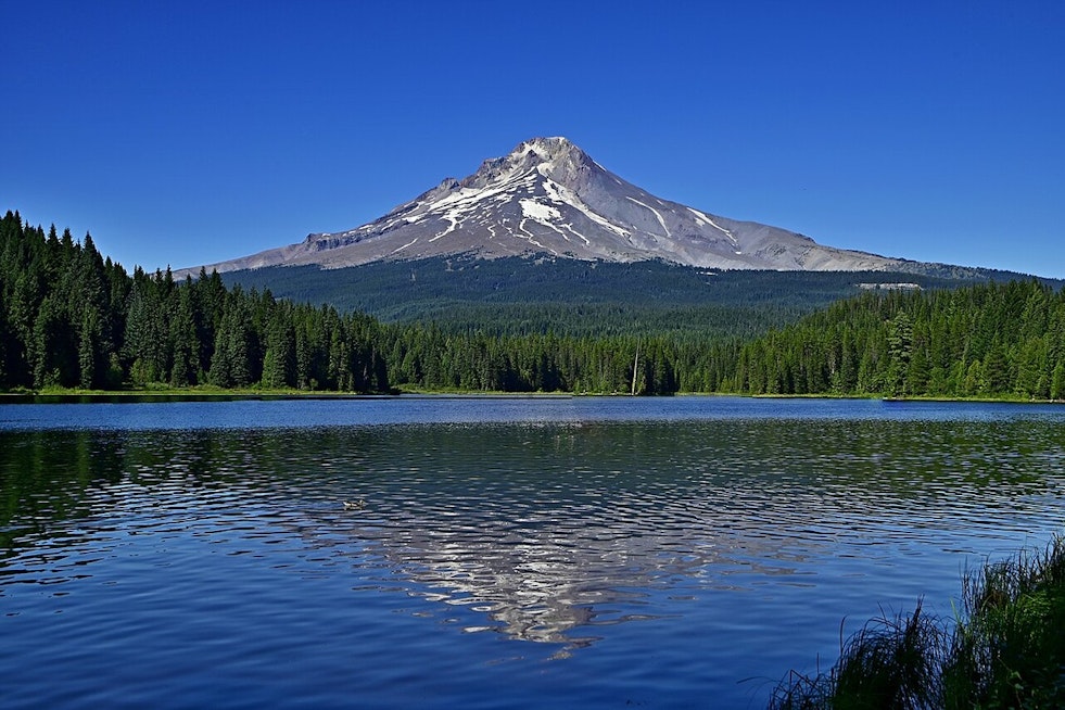 Lost for 4 Days on Mount Hood, 7-Year-Old Jack Strong Hiked 30 Miles to Survive