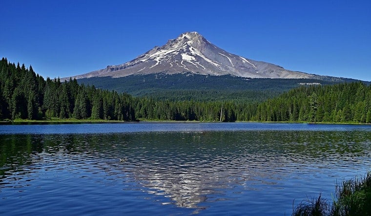 Lost for 4 Days on Mount Hood, 7-Year-Old Jack Strong Hiked 30 Miles to Survive