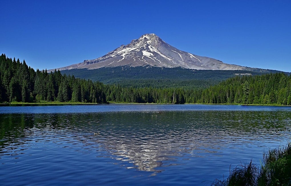 Lost for 4 Days on Mount Hood, 7-Year-Old Jack Strong Hiked 30 Miles to Survive
