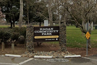 Man Airlifted After Being Pulled From American River Near Hagan Park