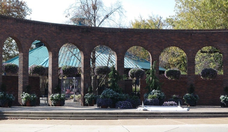 Man Scales Fence Into Big Cat Country at Saint Louis Zoo, Climbs Down Before Guards Arrive