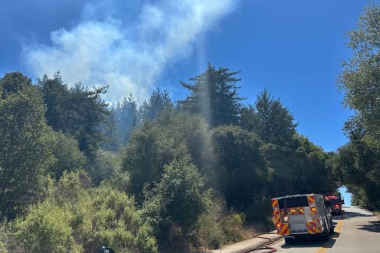 Man Living in Tent Above Scotts Valley Confesses to Setting Hillside Fires
