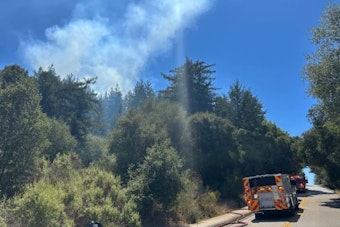 Man Living in Tent Above Scotts Valley Confesses to Setting Hillside Fires